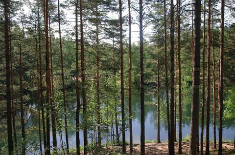 레닌 그라드 지역의 호수는 잊을 수없는 휴가를 줄 것입니다.